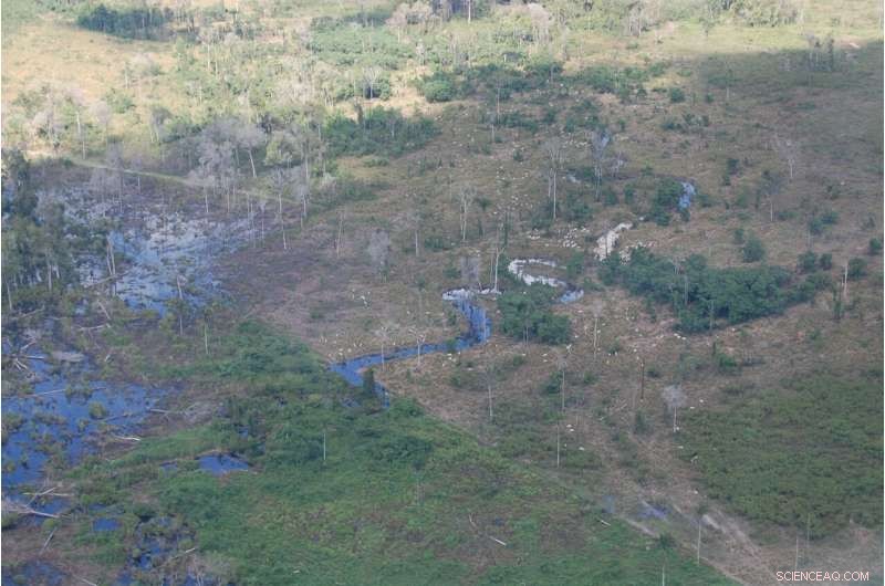 Agriculture Accounts for Over 90% of Tropical Deforestation, New Study Reveals