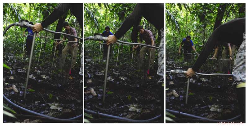 New Study Warns Tropical Soils Are Highly Sensitive to Global Warming