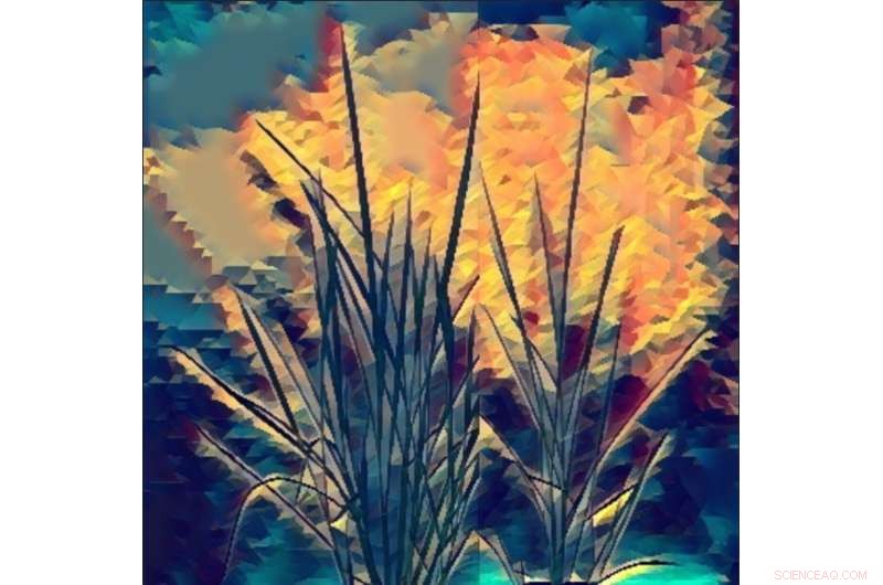 High CO2 Boosts Plant Growth Only When Chloroplast Phosphorus Homeostasis Is Maintained