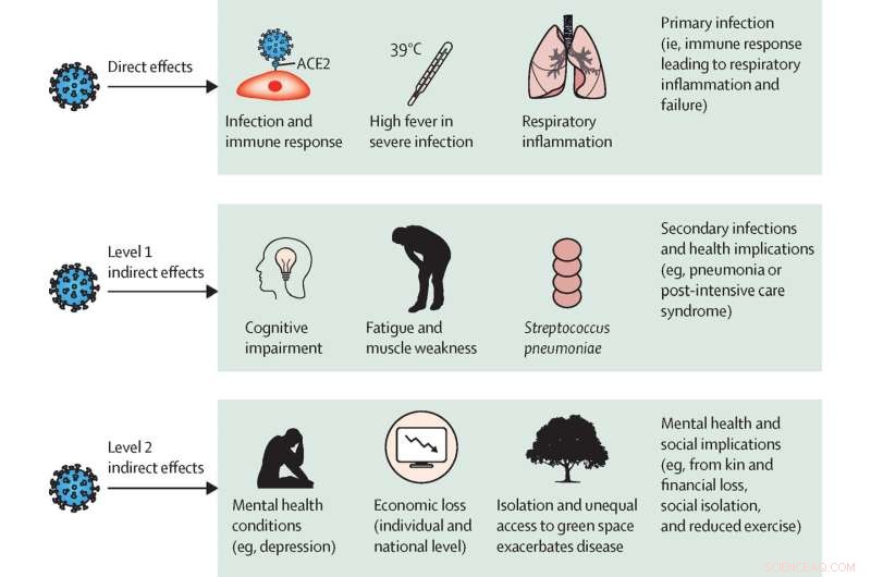 Ecosystem Restoration: A Crucial Path to Humanity’s Recovery from COVID-19