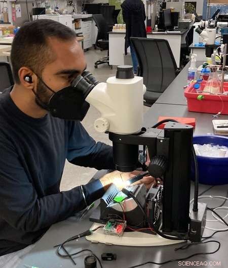 The Science of Fruit Fly Olfaction: How Drosophila Detects CO₂ to Find Food and Avoid Crowding