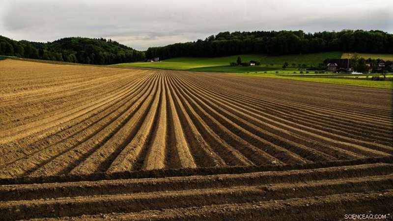 Navigating Europe s Agriculture: Key Trends and Challenges Ahead