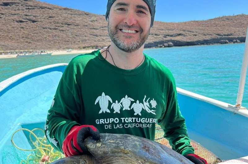 Study Reveals Over 1.1 Million Sea Turtles Poached in Last 30 Years