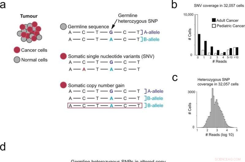 Groundbreaking Study Unveils Novel Method for Detecting Cancer Cells