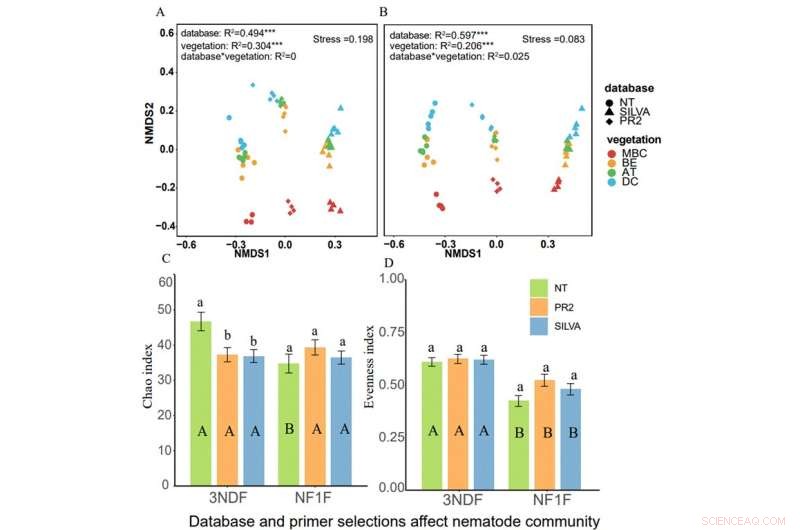 Choosing the Right Primers and Databases for Soil Nematode DNA Sequencing: Key Insights