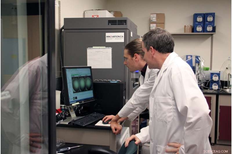 New Toxin Discovered by McMaster Scientists Could Revolutionize Antibiotic Development