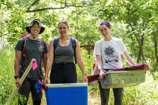 Can Symbiotic Fungi Enhance Texas Grass Resilience to Climate Change?