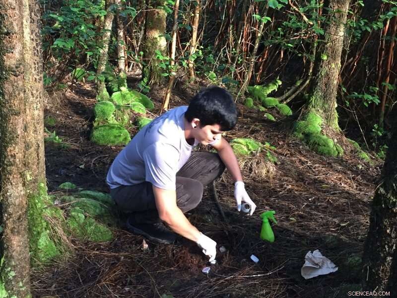 Monitoring Bacterial Levels in Hawaiian Waterways During Heavy Rains