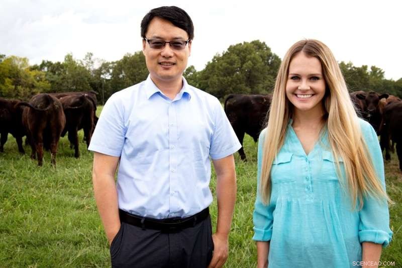 Harnessing Microbial Solutions to Combat Bovine Respiratory Disease in the Beef Industry