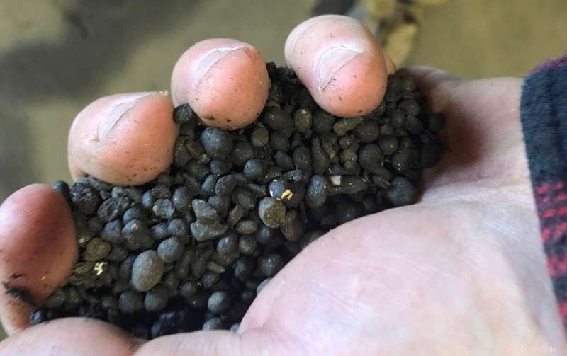 Harnessing Compost: Turning Waste into a Climate Solution