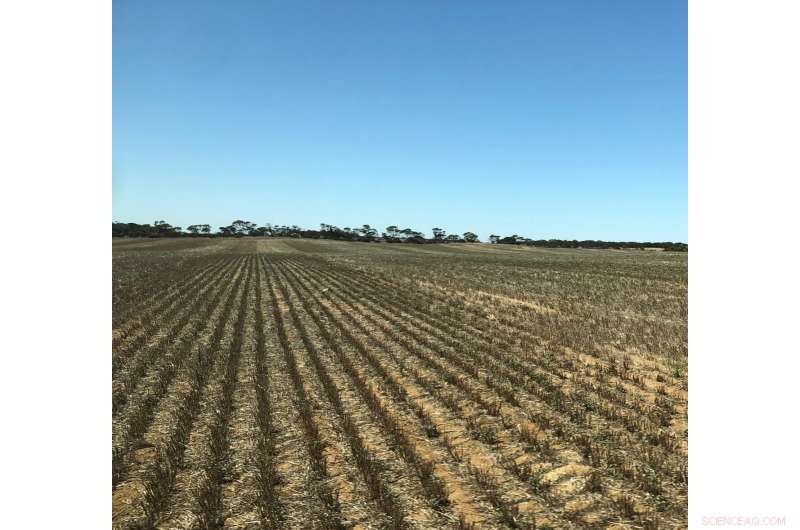 Harnessing Compost: Turning Waste into a Climate Solution