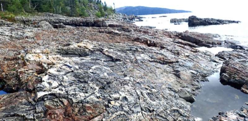 New 1.9‑Billion‑Year‑Old Microfossils Shed Light on Prokaryote‑Eukaryote Evolution