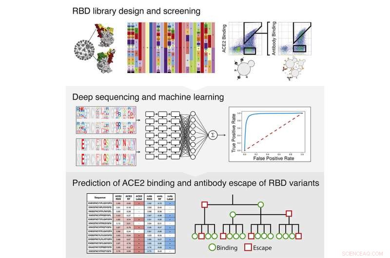 Leveraging AI to Forecast and Counter Emerging COVID‑19 Variants