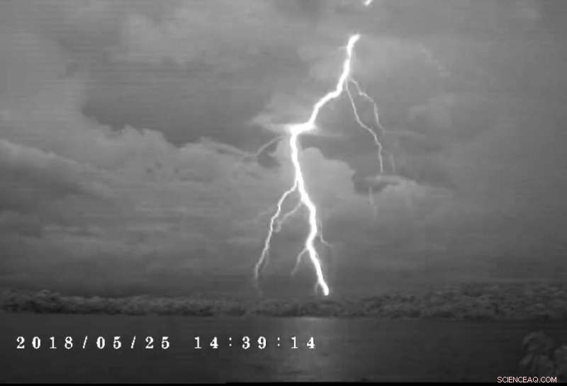 How Lightning Strikes Shape Tropical Forests