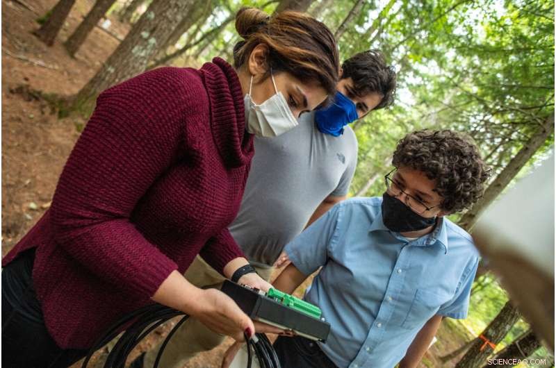 AI Enhances Forest Monitoring in Maine, Study Shows