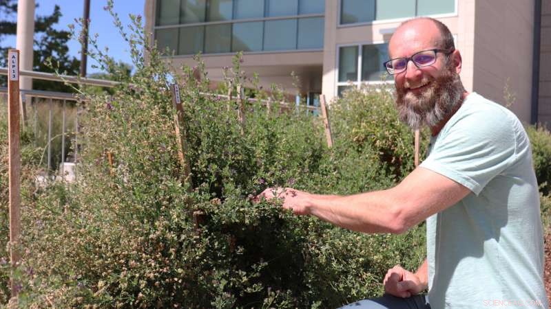 Genetic Interactions Shape Ecological Outcomes: How Variation Drives Ecosystem Dynamics