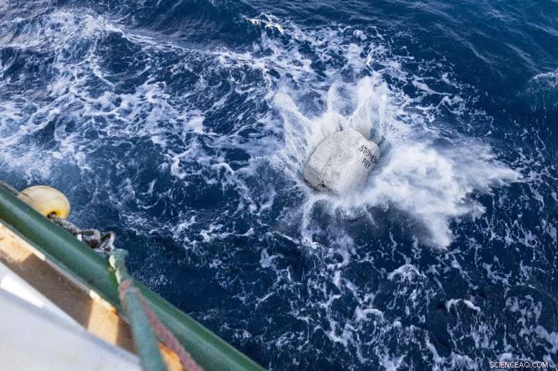 Greenpeace Deploys Boulders to Protect UK Marine Conservation Areas from Bottom‑Trawling