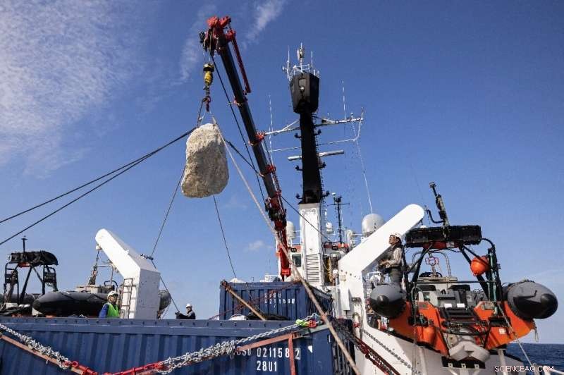 Greenpeace Deploys Boulders to Protect UK Marine Conservation Areas from Bottom‑Trawling