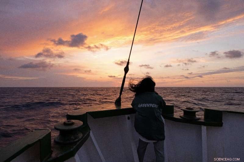 Greenpeace Deploys Boulders to Protect UK Marine Conservation Areas from Bottom‑Trawling