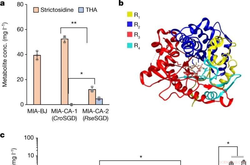 Reengineered Yeast Produces Novel Anti-Cancer Drug