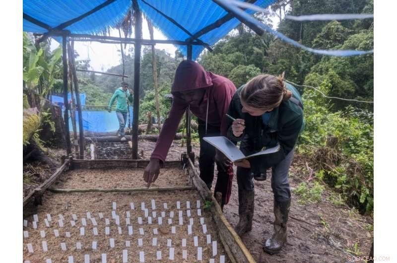 Assessing the Impact of Lemur Extinction on Madagascar s Forest Ecosystems