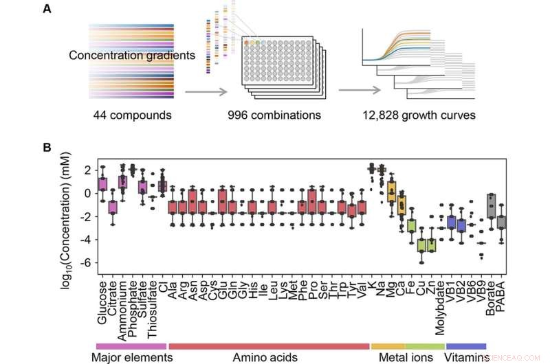 Machine Learning Reveals Environmental Links to Bacterial Population Growth