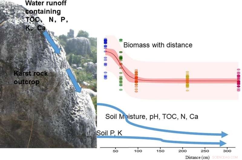 Fine-Scale Effects of Karst Rock Outcrops on Adjacent Soils and Plant Growth