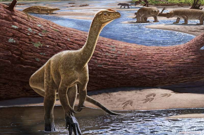 Africa’s Earliest Dinosaur Named: A Landmark Paleontological Breakthrough