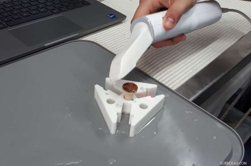 Innovative Dental Scanners Accelerate Coral Growth Monitoring