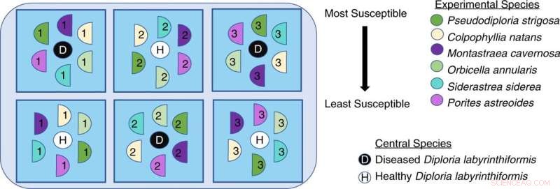 Scientists Address the Global Extinction Crisis: Innovative Solutions & Research