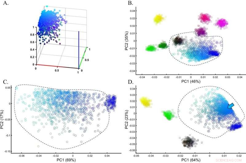 Study Highlights Flaws in Widely Used PCA Method for Genetic Research