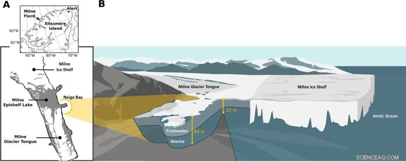 Scientists Explore Giant Viruses in Climate‑Vulnerable Arctic Epishelf Lake
