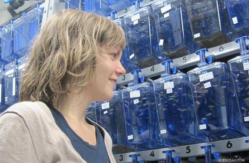 Parental Exposure to Low Oxygen Equips Zebrafish Offspring for Environmental Challenges