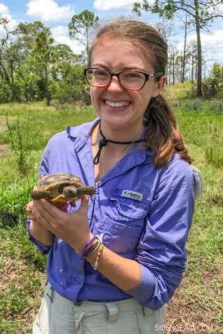 New Research Uncovers Critical Role of Gopher Tortoises in Florida Ecosystems