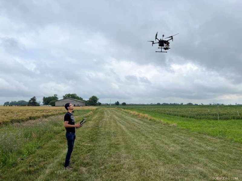 Drones Detect Crop Diseases Early, Accelerating Agricultural Research