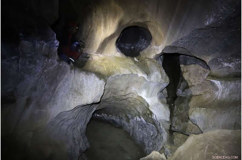 Climate Change Threatens Diverse Subarctic Cave Bacteria with Valuable Medical & Industrial Potential