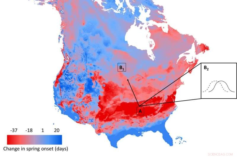 New Study Shows Climate Change Triggers Earlier Bumblebee Emergence, Endangering Species and Pollination