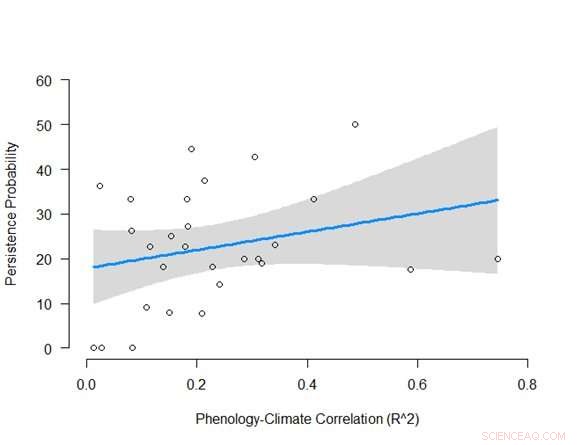 New Study Shows Climate Change Triggers Earlier Bumblebee Emergence, Endangering Species and Pollination