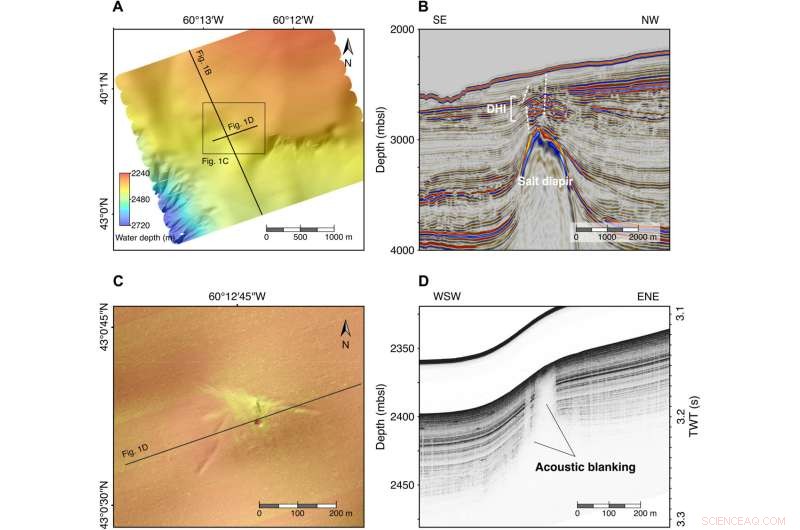 Genetic Study Reveals Seafloor Bacteria Spread Over Long Distances via Seepage