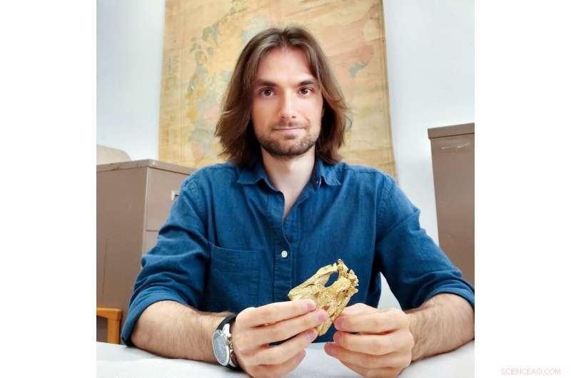 Exploring the Skull of Australia s Smallest Fossil Croc: New Insights into Trilophosuchus rackhami