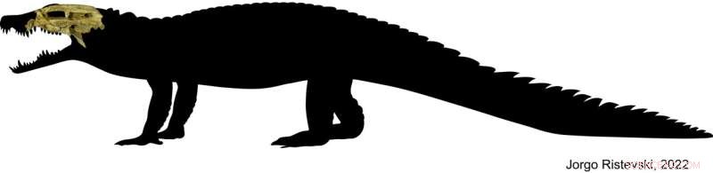Exploring the Skull of Australia s Smallest Fossil Croc: New Insights into Trilophosuchus rackhami
