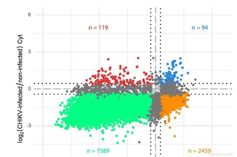 Viruses Hijack Host Cells to Maximize Replication
