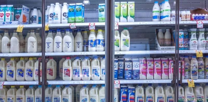 Synthetic Milk Without Cows Set to Hit Supermarket Shelves Soon