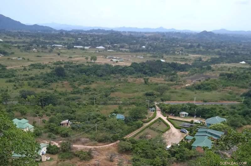 18 Years of Tracking Birds in a Nigerian Forest Reveal Crucial Conservation Insights