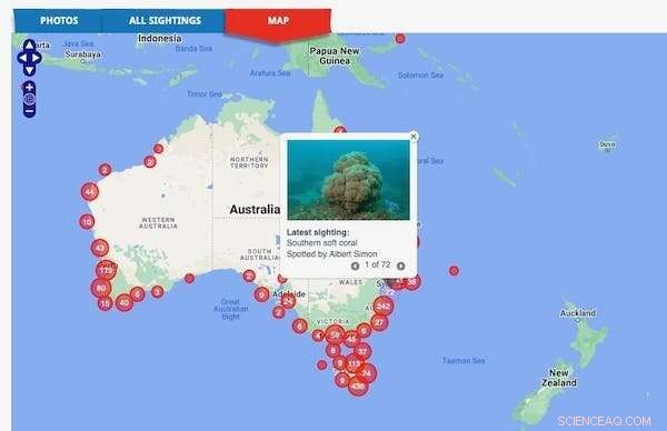 Citizen‑Captured Images Reveal Marine Life Shifting South as Australian Oceans Warm