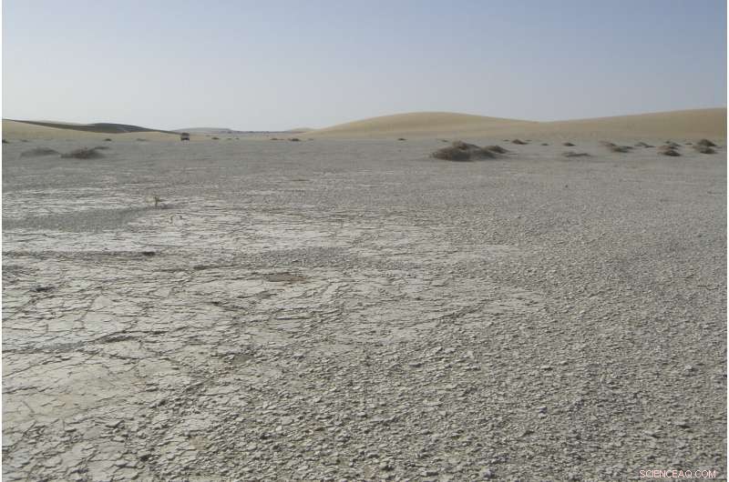 New Fossil Findings Could Confirm Sahelanthropus as Earliest Human Ancestor