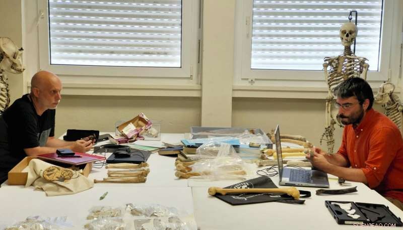 New Fossil Findings Could Confirm Sahelanthropus as Earliest Human Ancestor