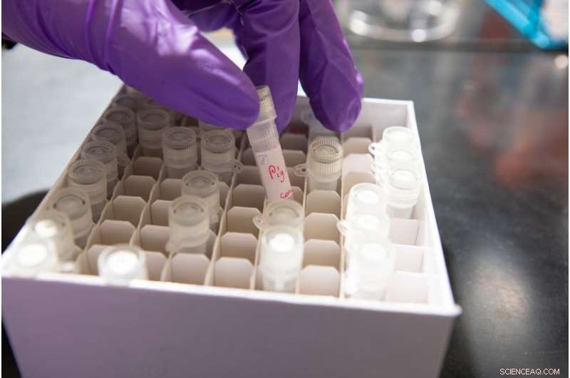 Unveiling the Evolution of Mucus: From Slugs to Human Saliva