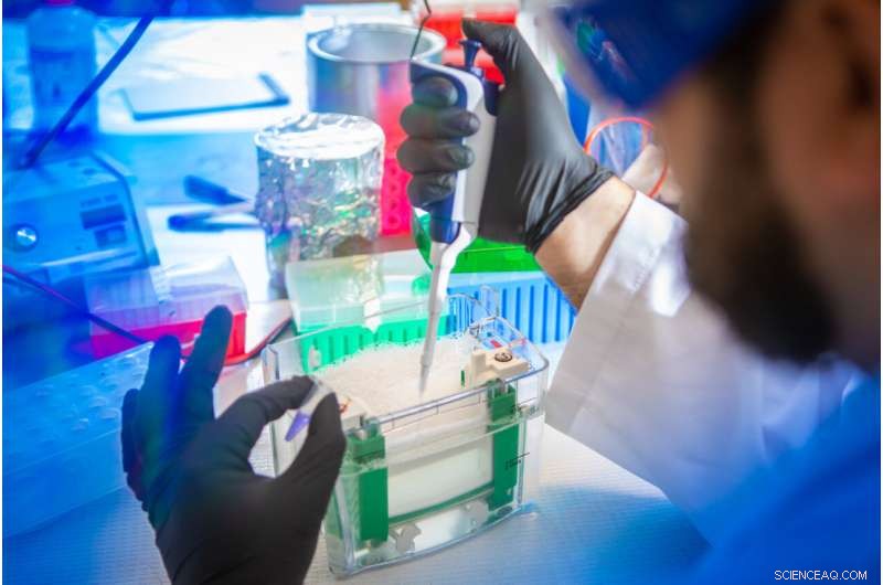 Unveiling the Evolution of Mucus: From Slugs to Human Saliva