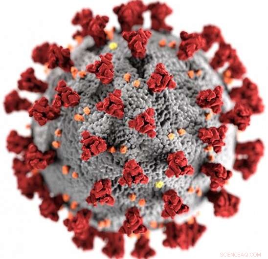 New Study Reveals How SARS-CoV-2 Evades Human Antiviral Defenses